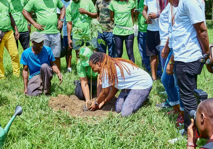 botanical-garden-planting